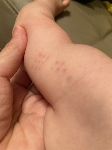 f:id:ototomama:20220604230837j:image