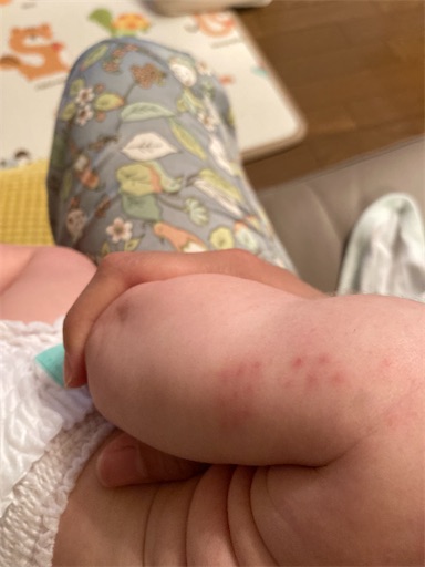 f:id:ototomama:20220604230840j:image