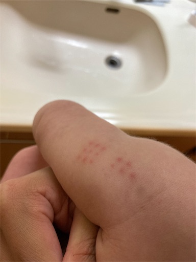 f:id:ototomama:20220604230842j:image