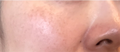 f:id:ototomama:20240401225729j:image