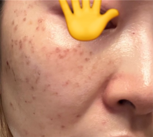 f:id:ototomama:20240426192005j:image