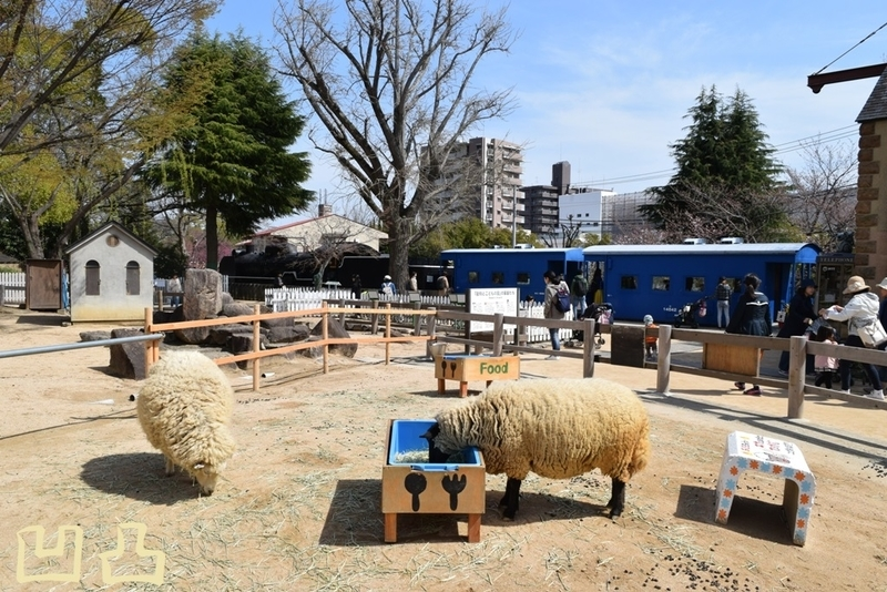 f:id:ototsupura:20190904150724p:plain