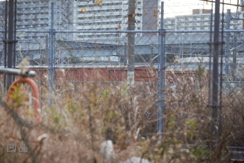 f:id:ototsupura:20200325103700j:plain