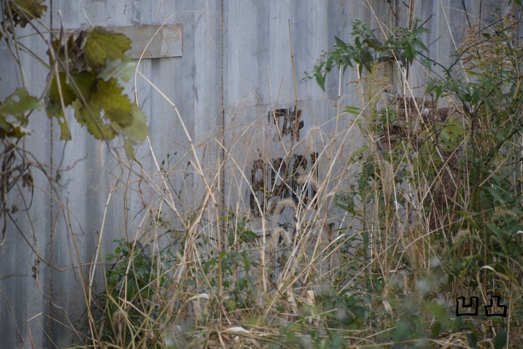 f:id:ototsupura:20210209124327j:plain