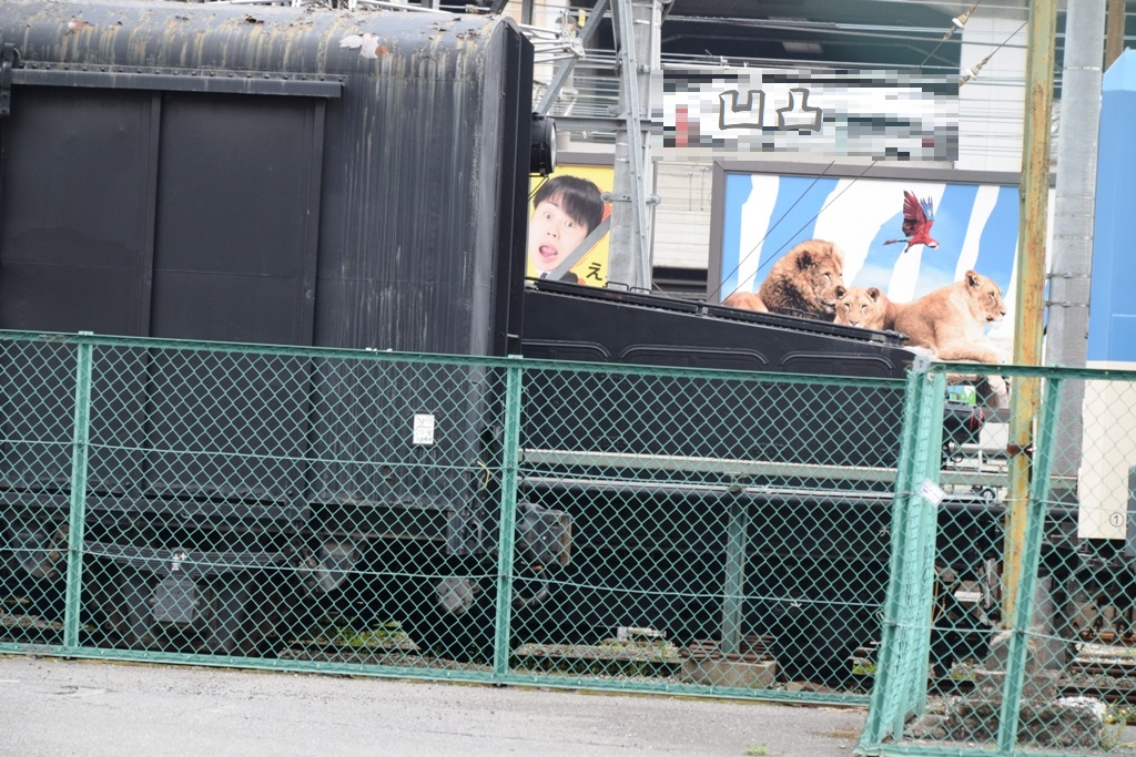 f:id:ototsupura:20210523165929j:plain