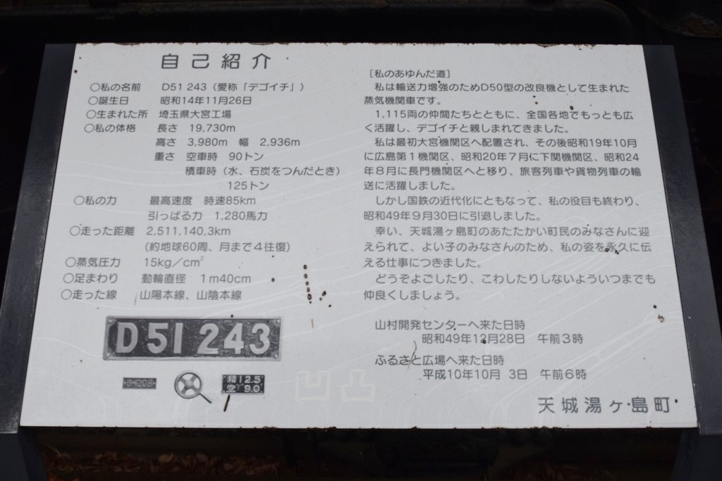 D51形243号機 伊豆市天城ふるさと広場 - 凹凸プラ陳列館