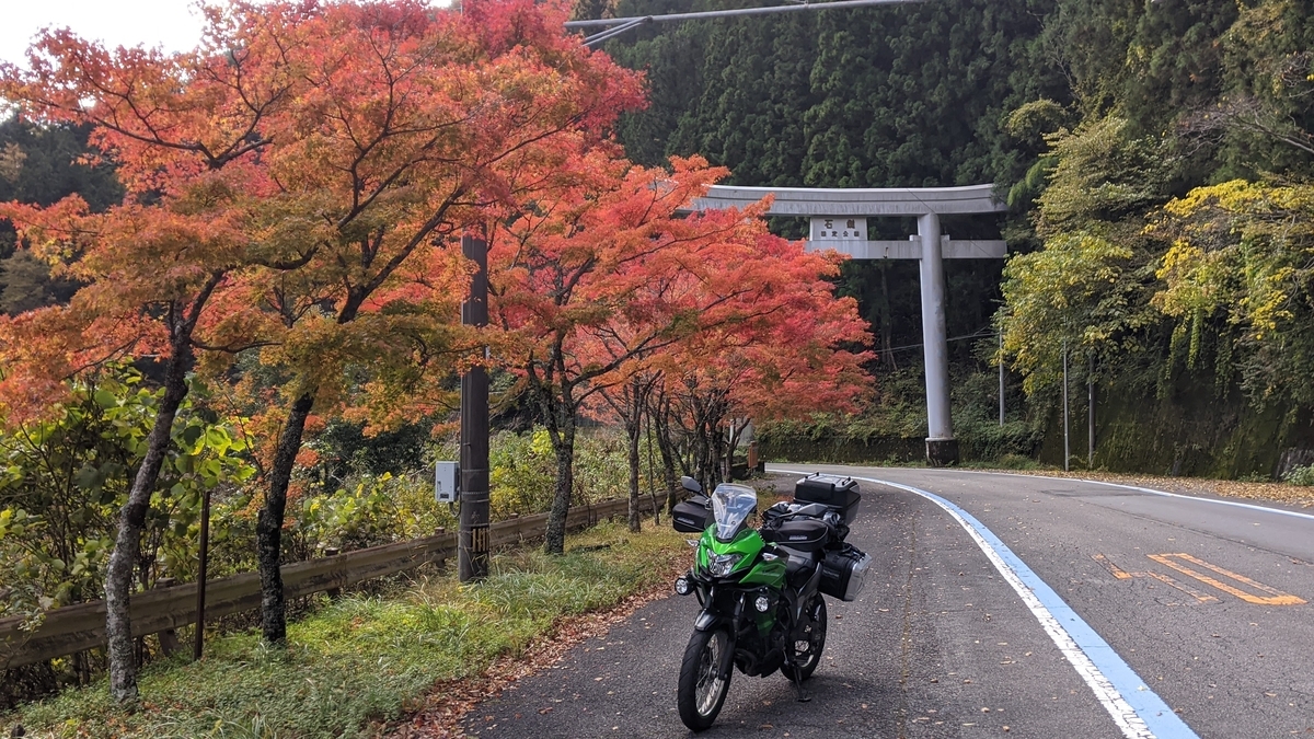f:id:otoyan191:20201109120228j:plain