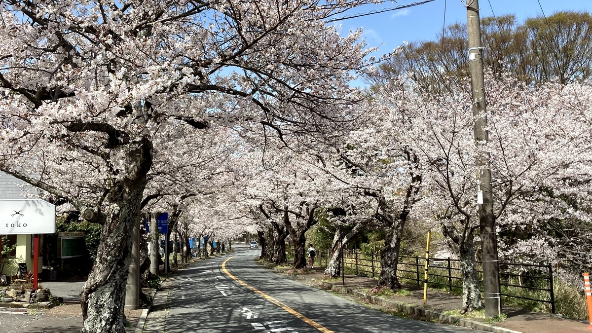 f:id:otoyan191:20210405100528j:plain