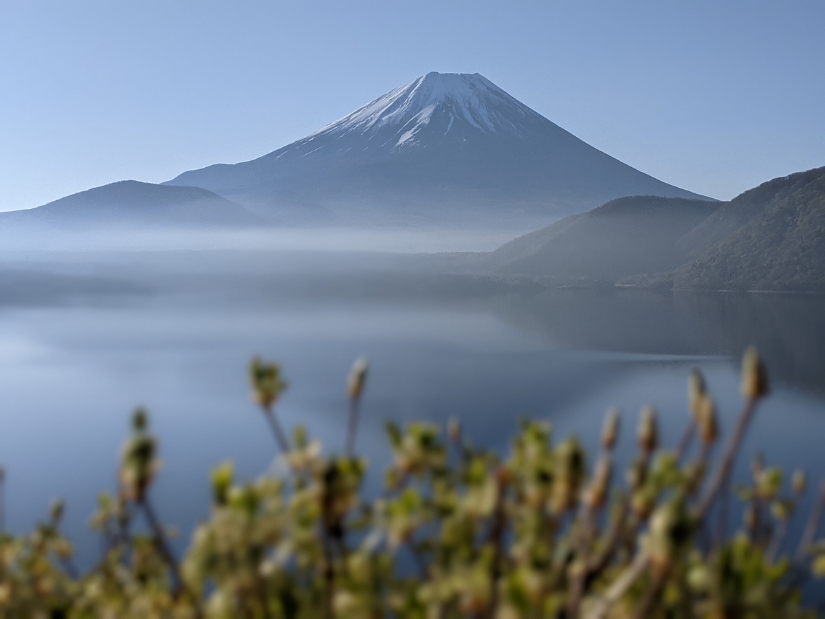 f:id:otoyan191:20210425185441j:plain