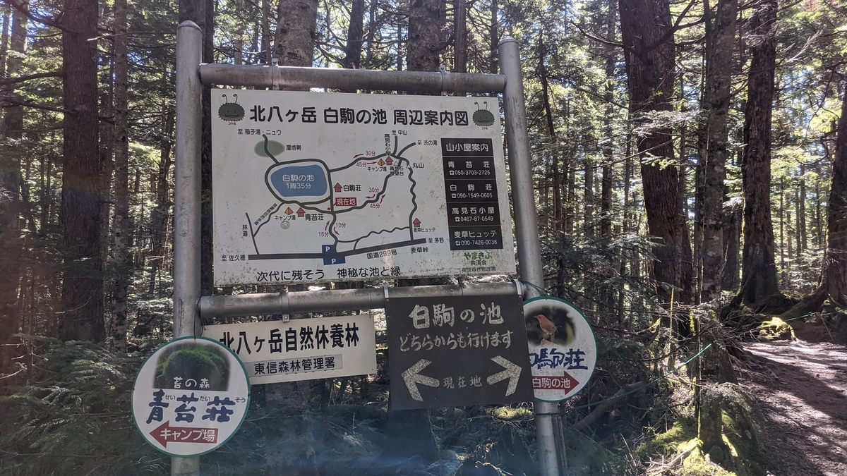 f:id:otoyan191:20210831193748j:plain