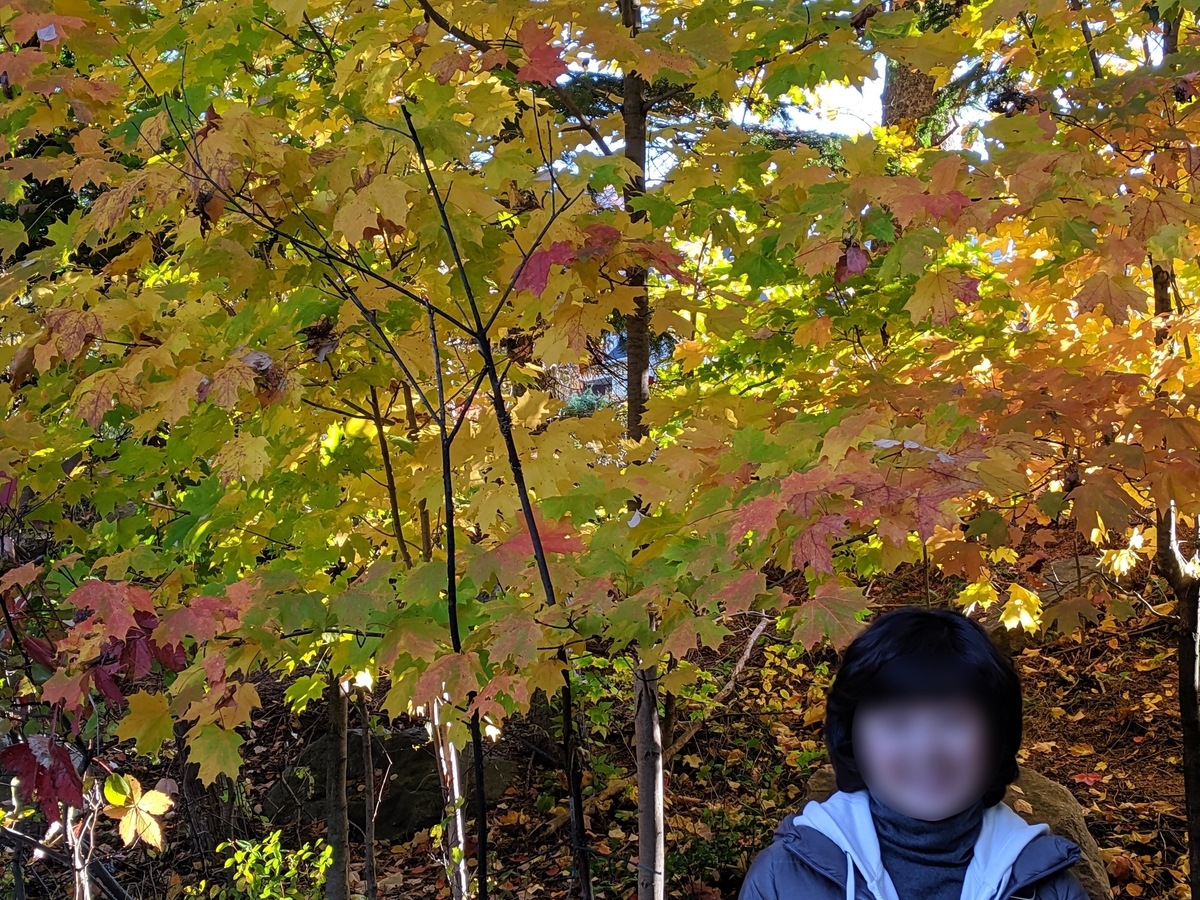 f:id:otoyan191:20210916133409j:plain