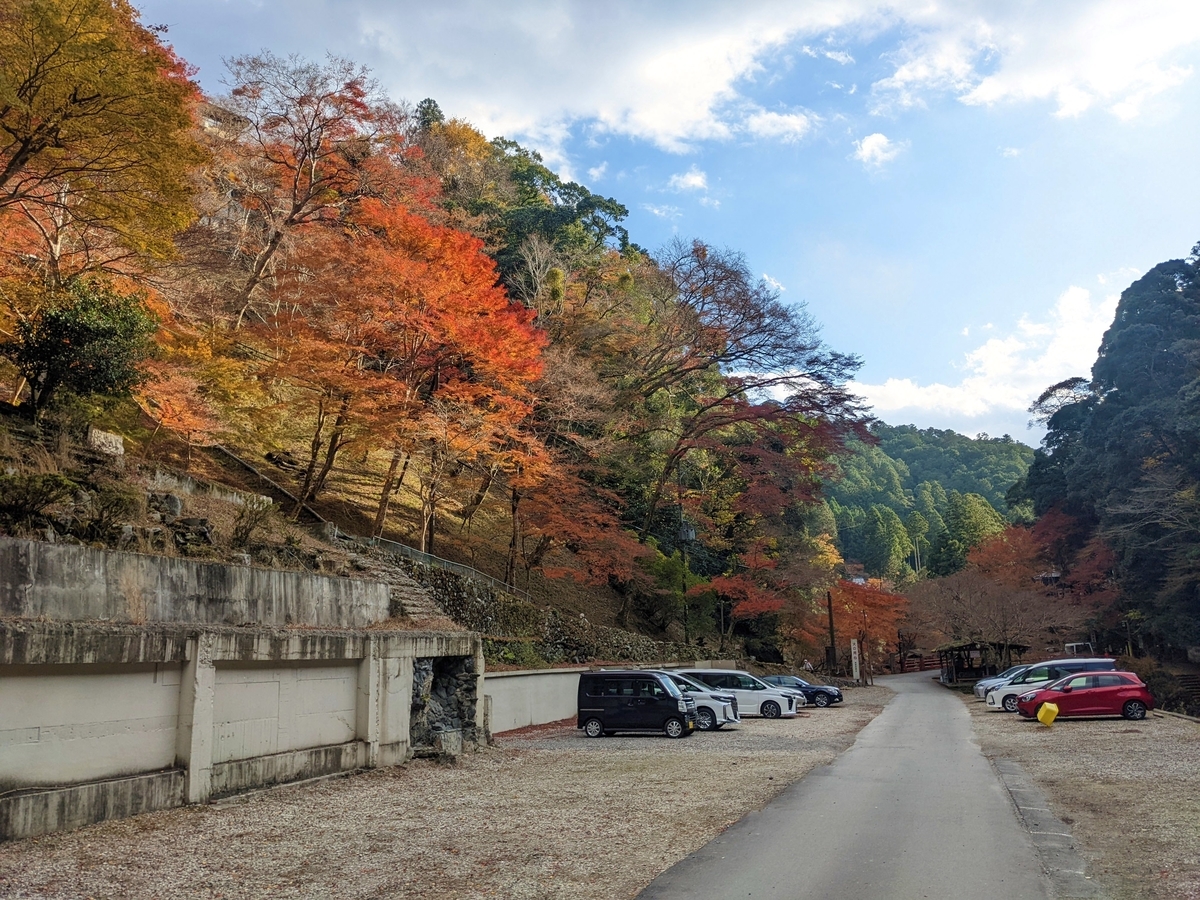 f:id:otoyan191:20211130200809j:plain