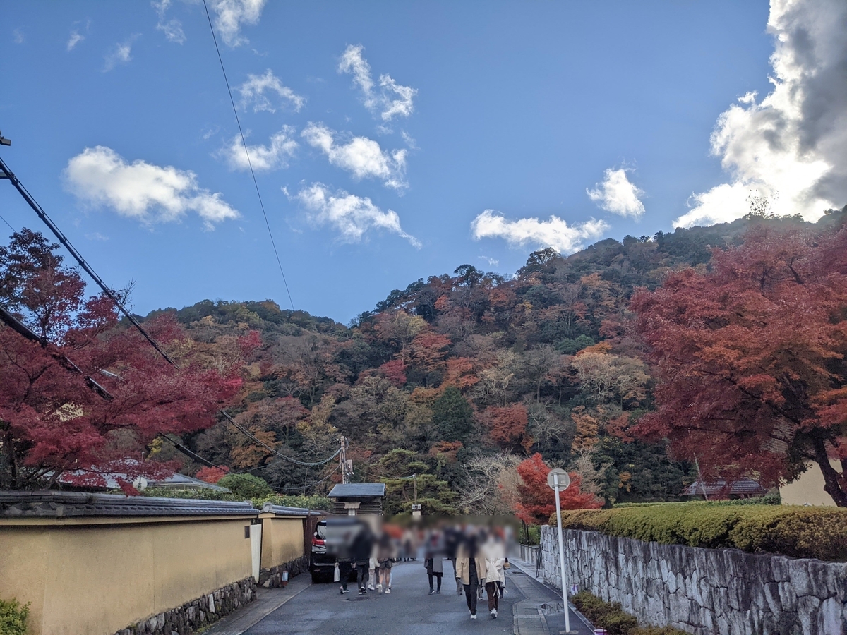 f:id:otoyan191:20211205115601j:plain