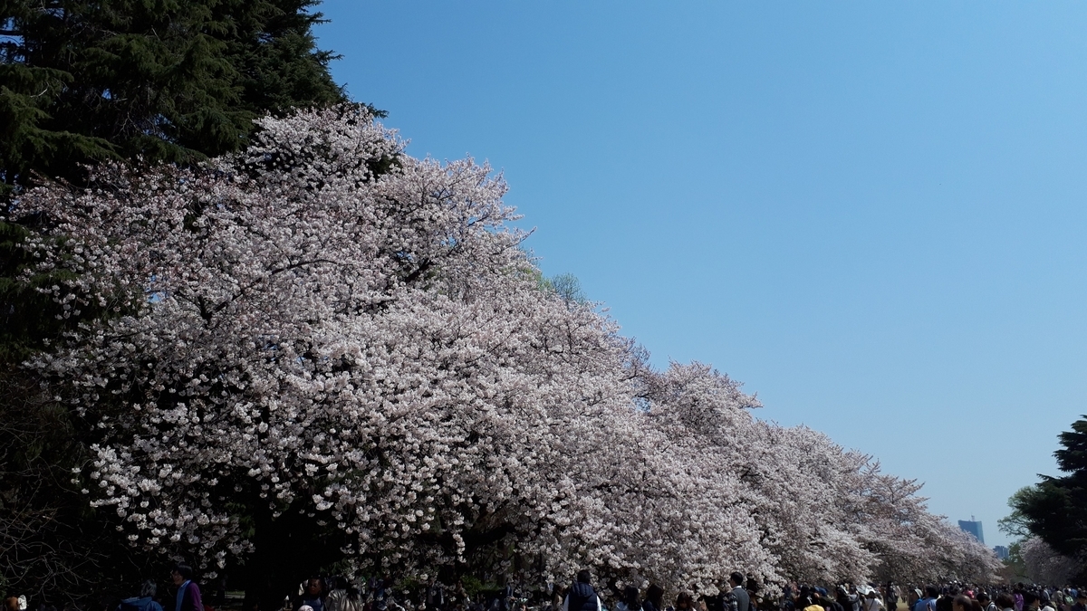 f:id:otoyan191:20220402183457j:plain