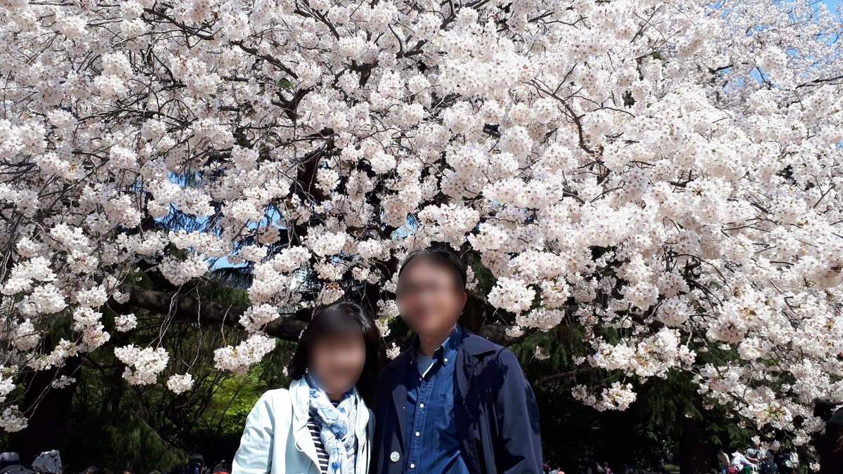 f:id:otoyan191:20220402183539j:plain