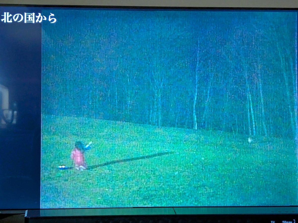 北の国からとエキノコックスついでにマダニ - キャンピングカーの車窓から