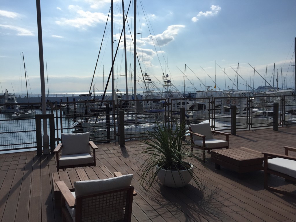 fidotoyasumi20150920142540jplain