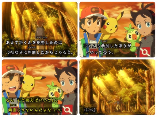f:id:otsk_poke:20210529062911j:image