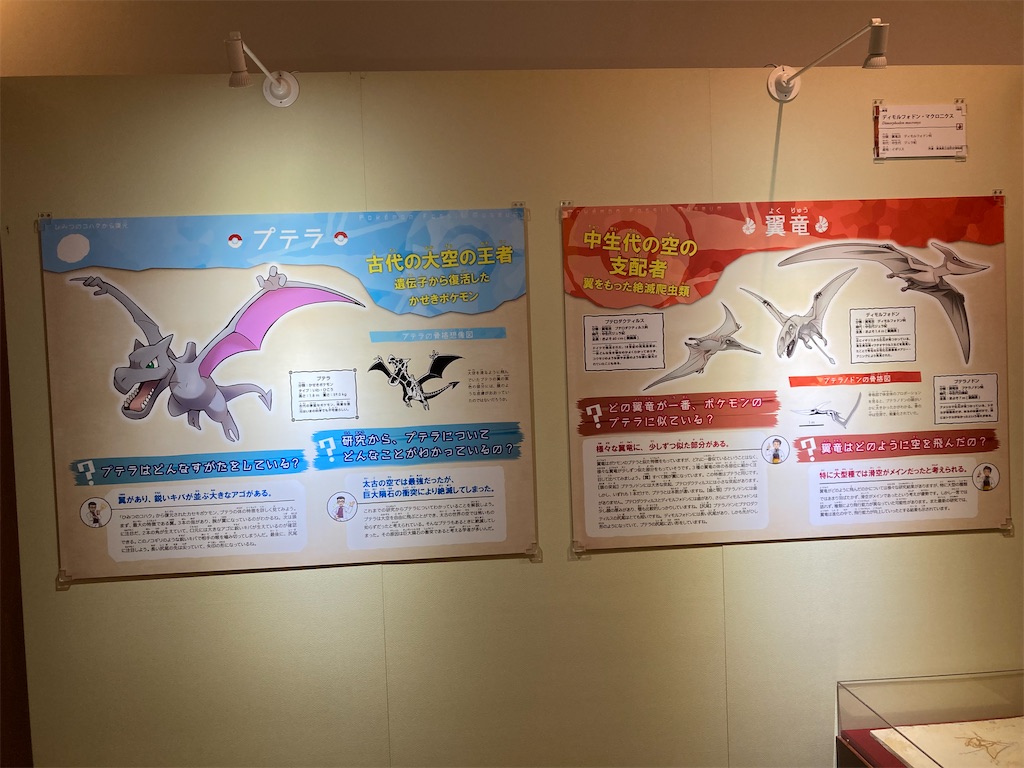 f:id:otsk_poke:20220723211311j:image