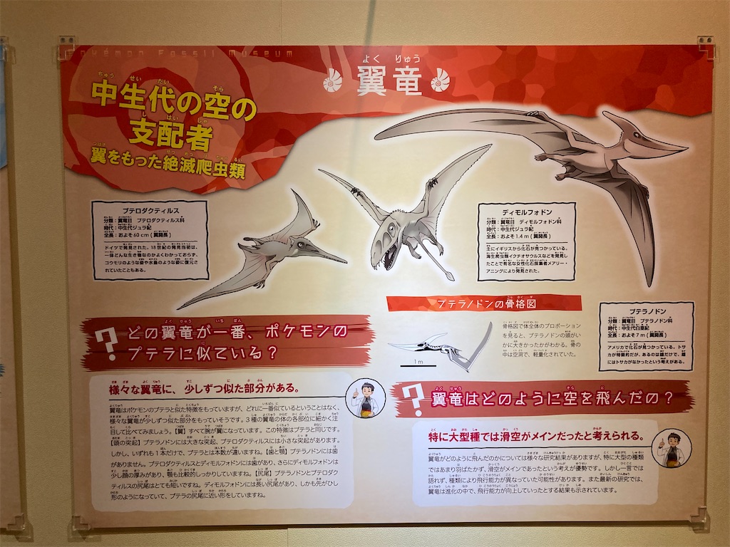 f:id:otsk_poke:20220723211318j:image
