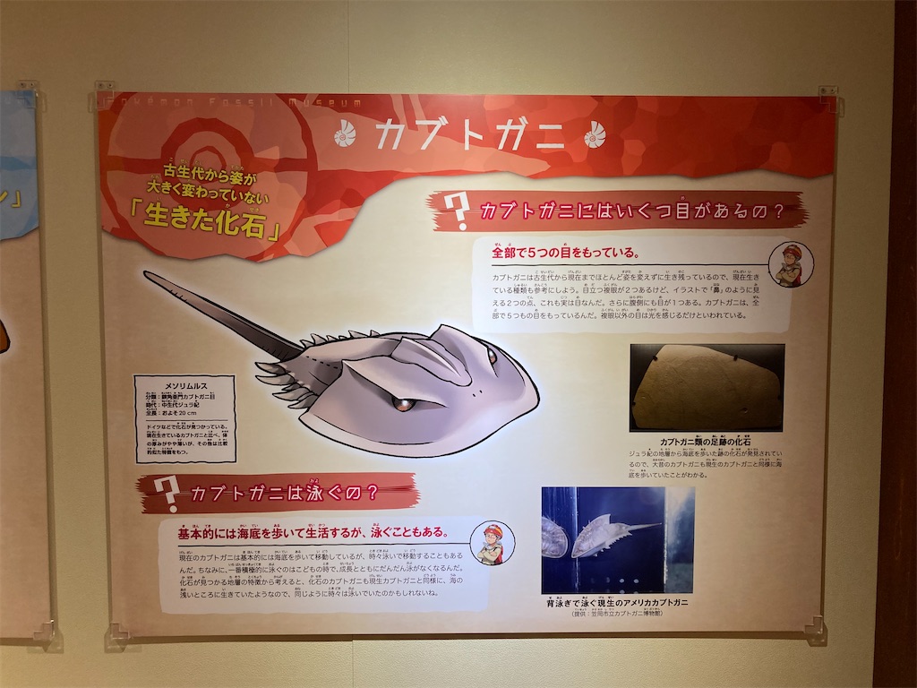 f:id:otsk_poke:20220723211344j:image