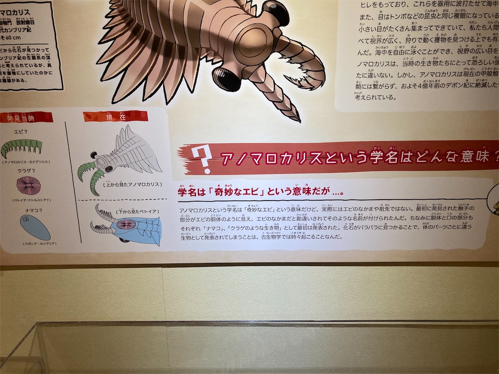 f:id:otsk_poke:20220723211730j:image