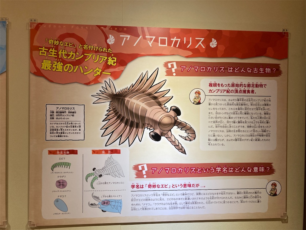 f:id:otsk_poke:20220723211733j:image