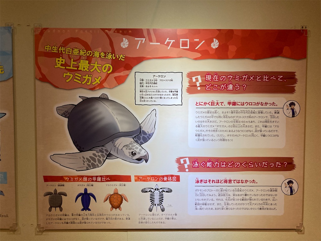 f:id:otsk_poke:20220723212212j:image