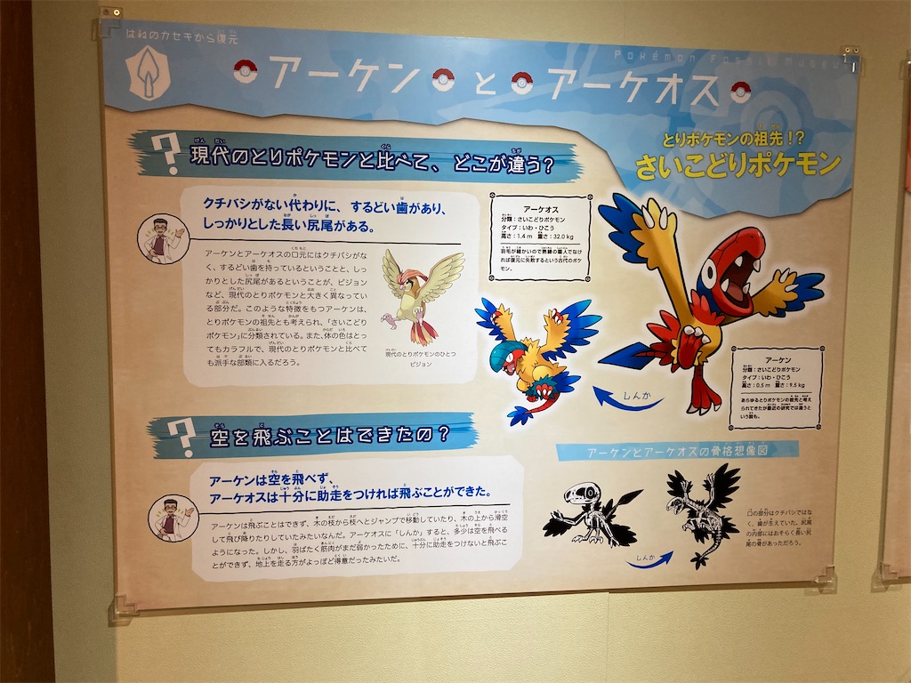 カセキポケモン大集合 話題の展示 ポケモン化石博物館に行ってみた 旅行記 おたすけの てだすけ