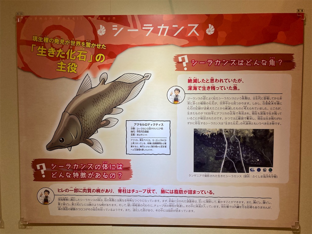 f:id:otsk_poke:20220723212318j:image