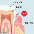 f:id:otsuka6480:20130806181721j:image f:id:otsuka6480:20130806181721j:image