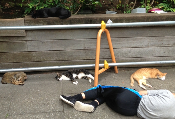 f:id:otsuka_izumi:20130728171009j:image f:id:otsuka_izumi:20130728171009j:image