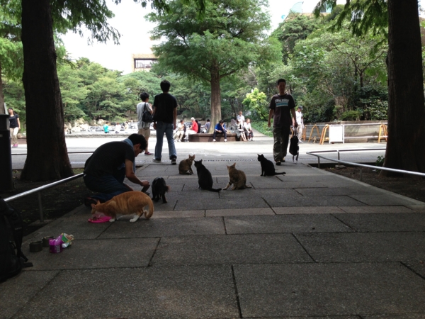 f:id:otsuka_izumi:20130728171014j:image f:id:otsuka_izumi:20130728171014j:image