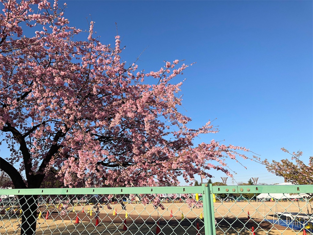 f:id:otsuka_style:20190325091258j:image f:id:otsuka_style:20190325091258j:image