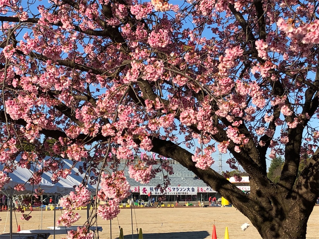 f:id:otsuka_style:20190325091535j:image f:id:otsuka_style:20190325091535j:image