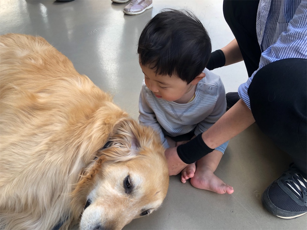 f:id:otsuka_style:20190506092137j:image