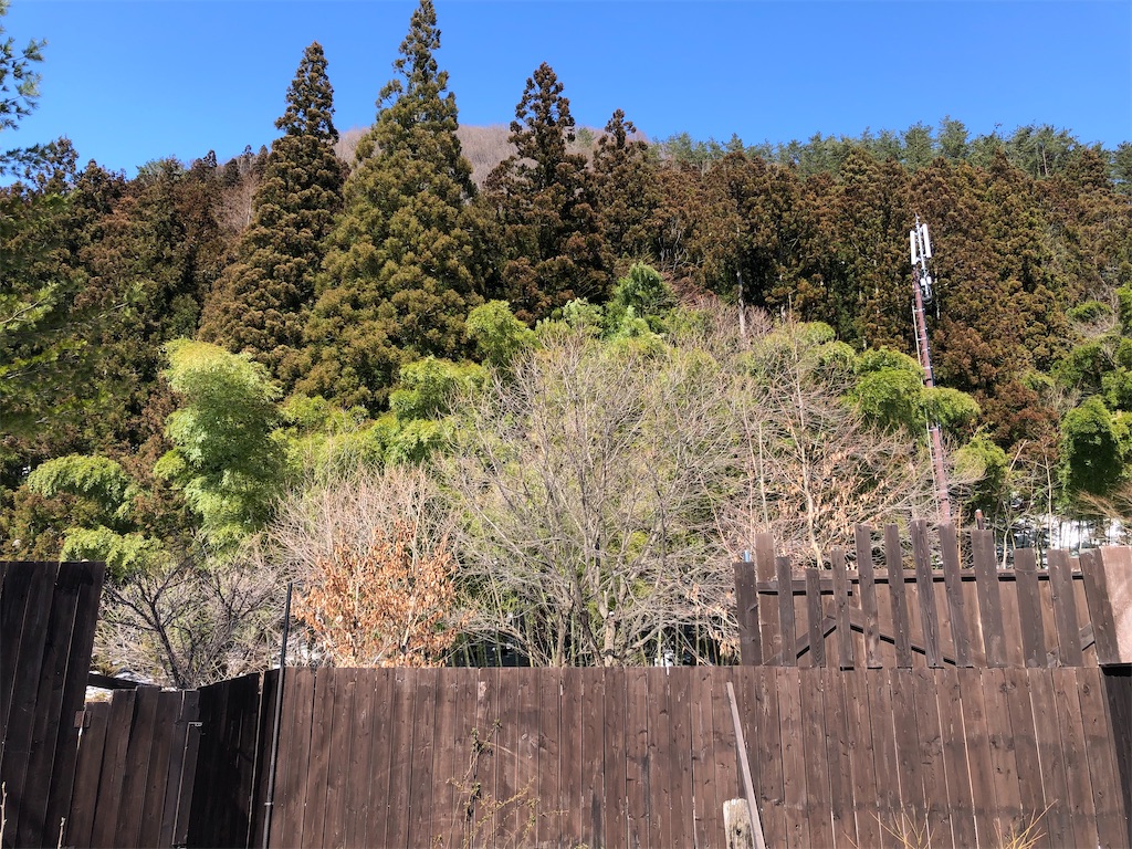 f:id:otsuka_style:20200327160322j:image
