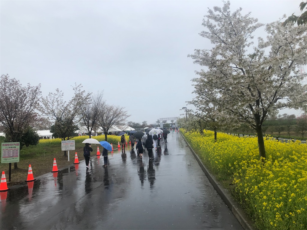 f:id:otsuka_style:20210418110443j:image