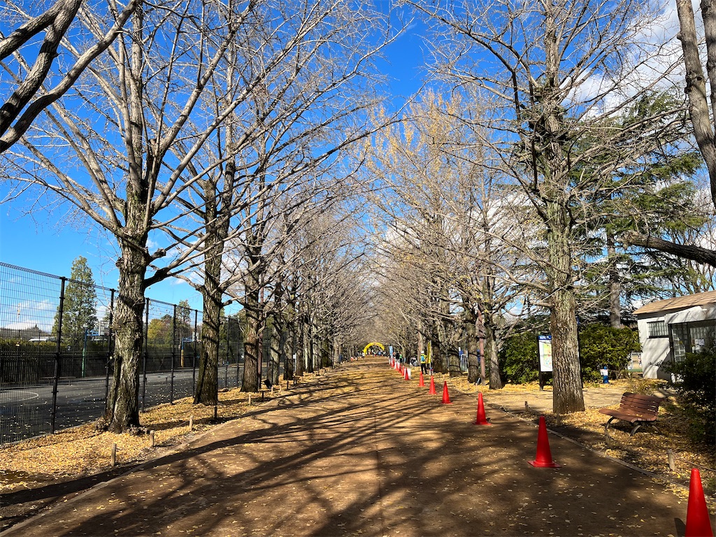 f:id:otsuka_style:20211212133904j:image f:id:otsuka_style:20211212133904j:image