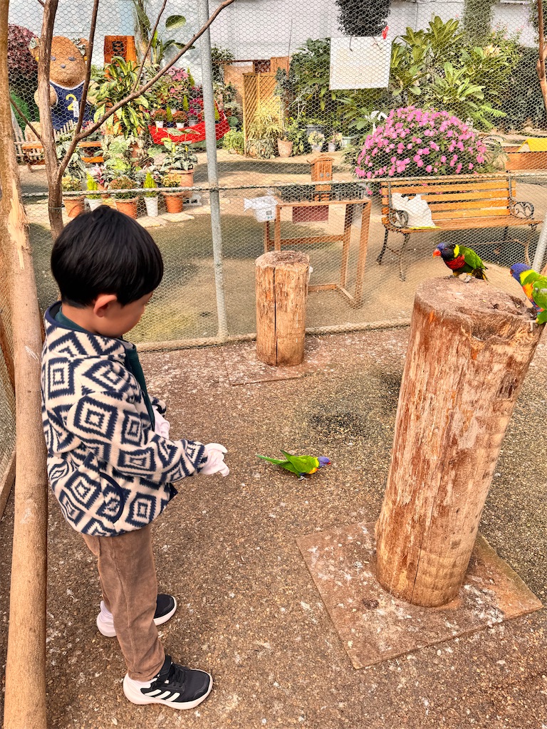 f:id:otsuka_style:20241231143310j:image