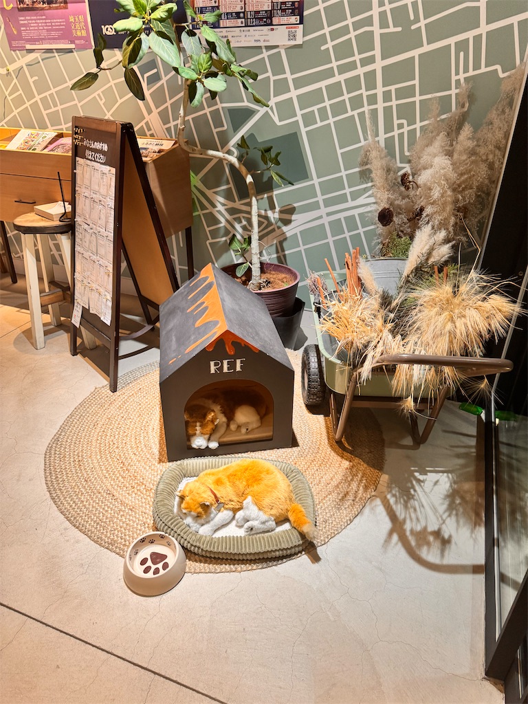 f:id:otsuka_style:20250317095518j:image