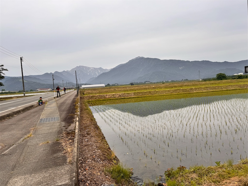 f:id:otsuka_style:20250612140659j:image