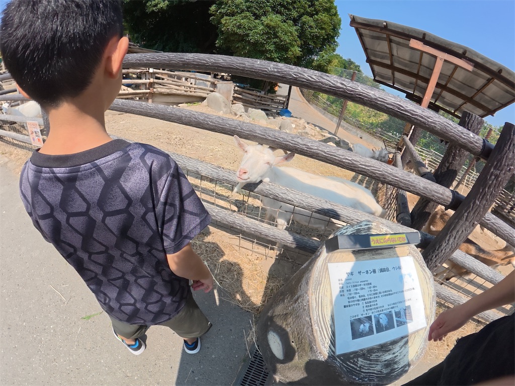 f:id:otsuka_style:20251108134737j:image