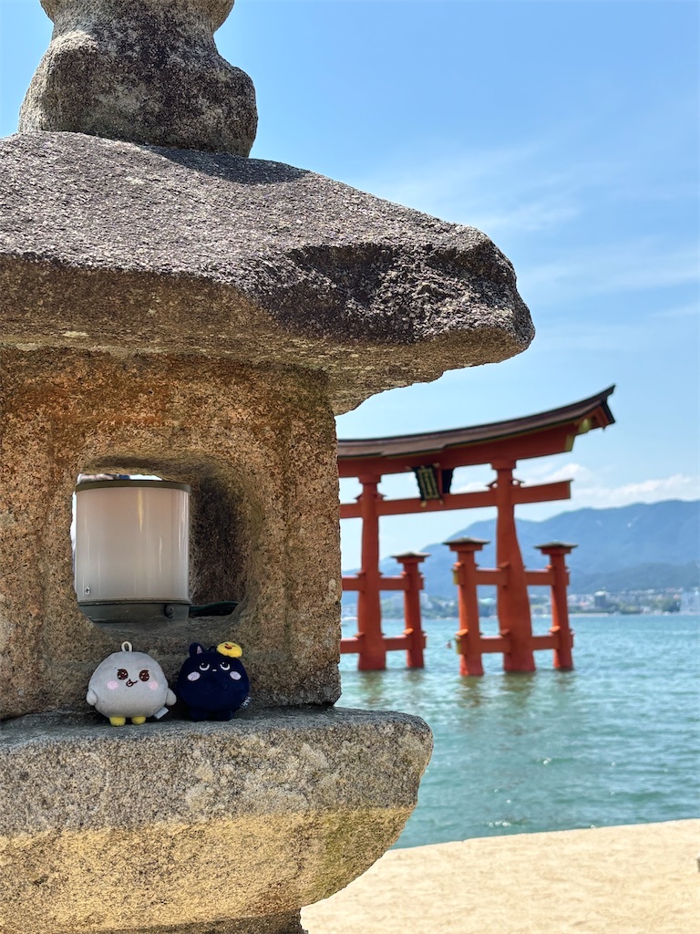 f:id:otsukemon_3273:20250916080900j:image f:id:otsukemon_3273:20250916080900j:image