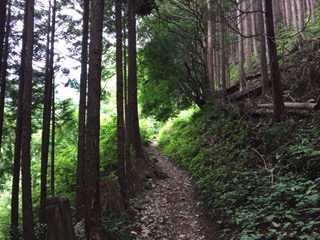f:id:otsukimidrive:20160620215947j:plain