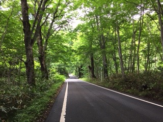f:id:otsukimidrive:20160627215259j:plain