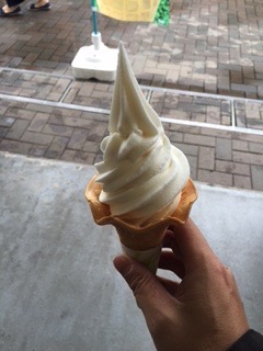 f:id:otsukimidrive:20160627220122j:plain