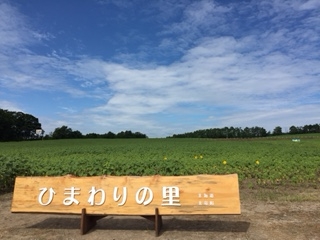 f:id:otsukimidrive:20160728210736j:plain