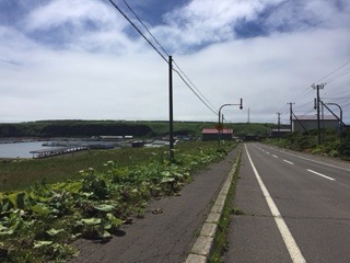 f:id:otsukimidrive:20160802215552j:plain