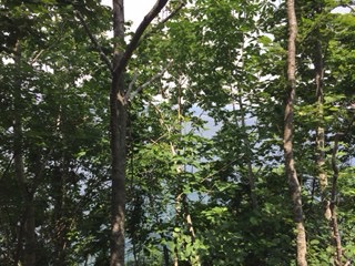 f:id:otsukimidrive:20160803221735j:plain